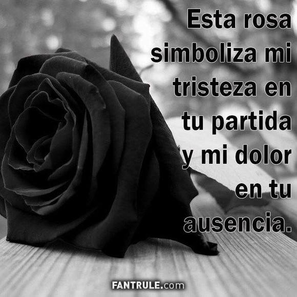 tere10josse